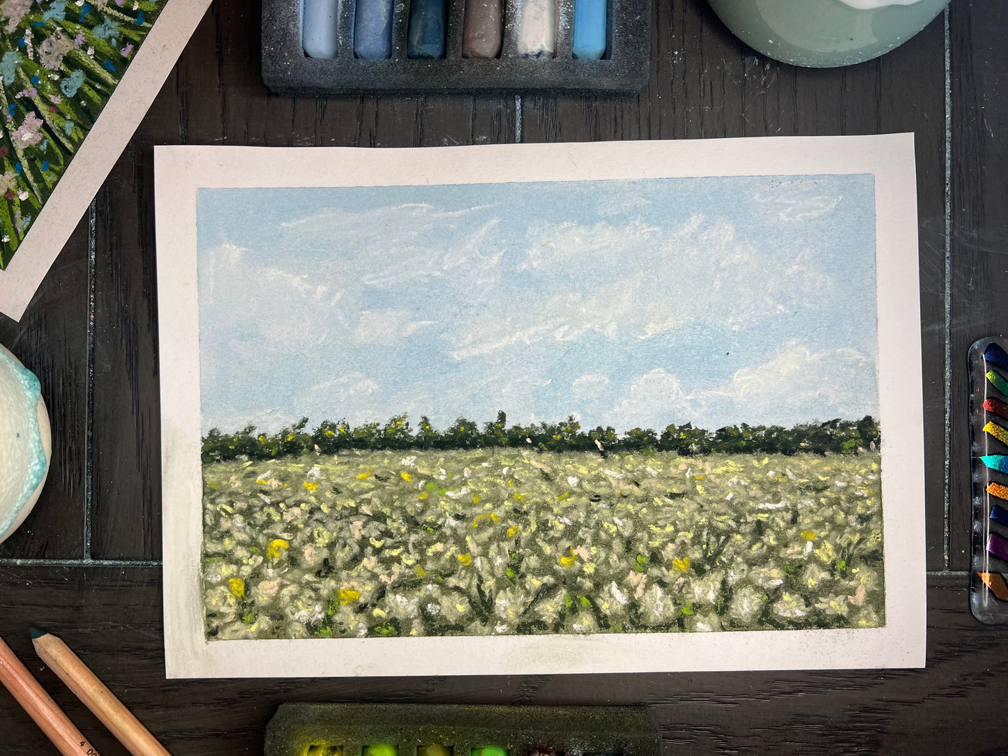 Light Blossoms
